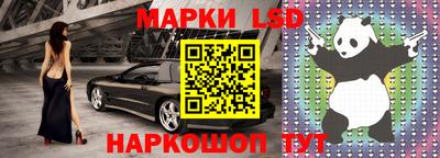 стафф Лесосибирск