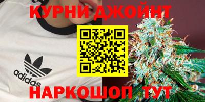стафф Лесосибирск