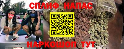 гашик Ливны
