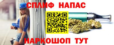 стафф Лесосибирск