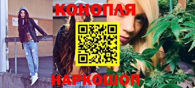 стафф Лесосибирск