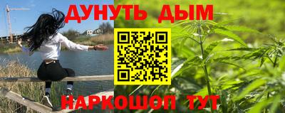 стафф Лесосибирск