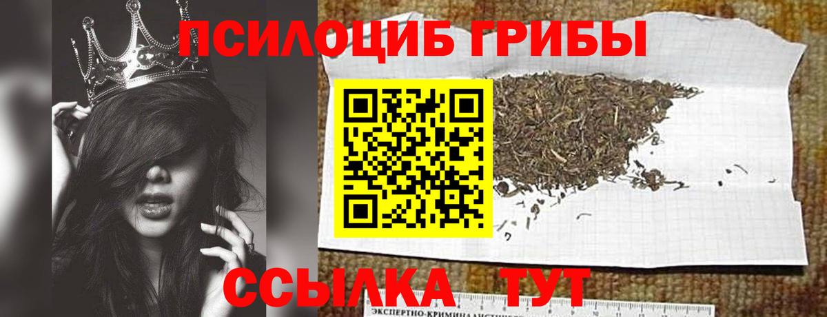 Галлюциногенные грибы Psilocybine cubensis  Вход с VPN  Усинск 